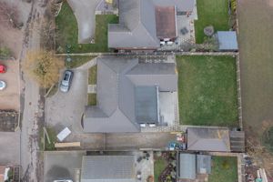 THE CONIFERS- click for photo gallery